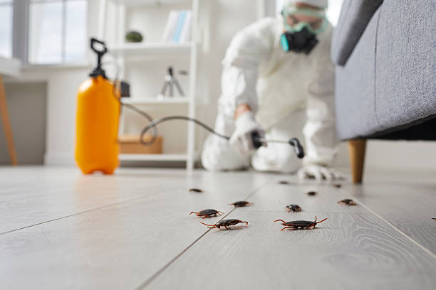 Trusted Emergency Pest Control service in Shamokin, PA - Nex Pest Control