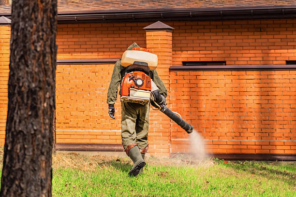 Trusted Cockroach Control service in Shamokin, PA - Nex Pest Control